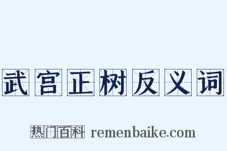 武宫正树反义词是什么意思的图片